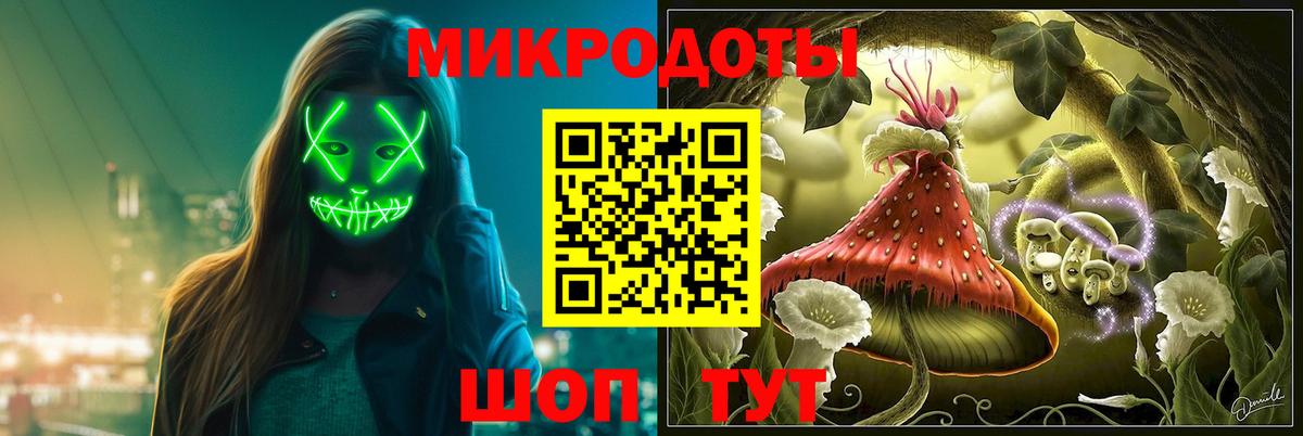 Сызрань  Псилоцибиновые грибы Psilocybe  Вход с VPN  где найти наркотики  Галлюциногенные грибы Magic Shrooms 