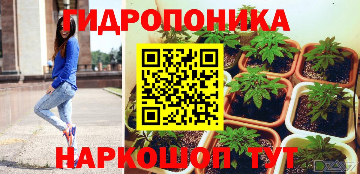 Шишки марихуана OG Kush Сызрань